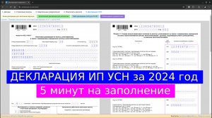 Декларация УСН за 2024 год для ИП Доходы без сотрудников - самостоятельное заполнение за 5 минут!