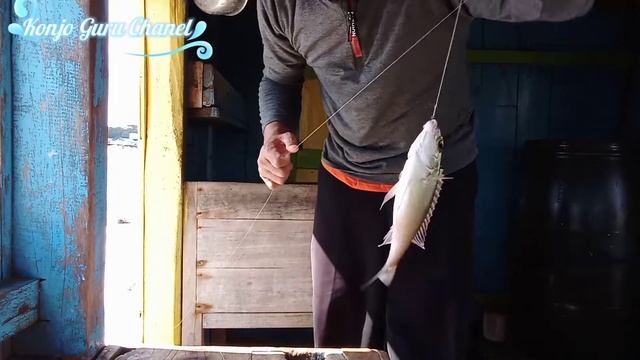 Mancing Siang Hari Ikan Floral Wrasse Di Dapur Perahu Nelayan #mancing #fishing #ตกปลา смотреть онлайн