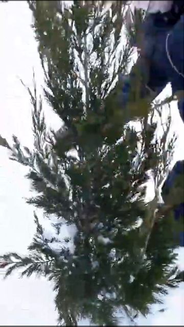 ОЧИЩАЕМ СПАРТАНЫ ОТ СНЕГА!❄ ЛУЧШАЯ ИГРА ДЛЯ ДЕТЕЙ- ЭТО ПОМОГАТЬ РОДИТЕЛЯМ! смотреть онлайн