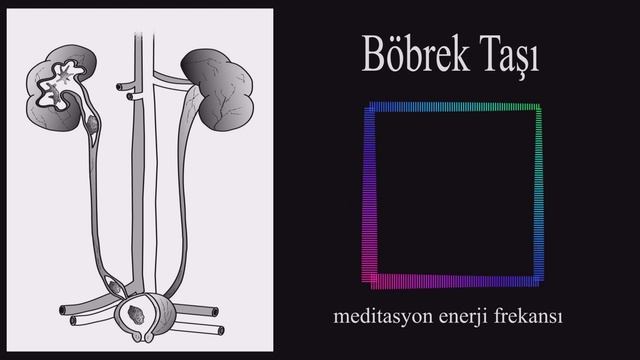 Böbrek Taşı - (Binaural / Isochronic / Enerji Frekansı) смотреть онлайн