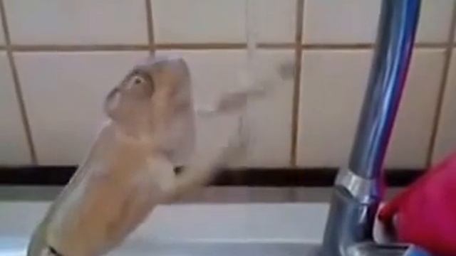 Вода! Какого ты цвета! смотреть онлайн