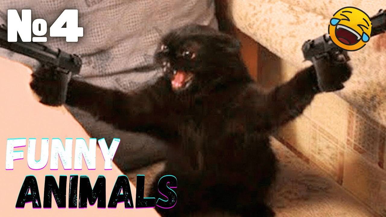 УГАРНЫЕ ЖИВОТНЫЕ 🤣САМЫЕ ЗАБАВНЫЕ ЖИВОТНЫЕ🤣ЛУЧШИЕ ПРИКОЛЫ 2025!ТОП приколов с животными 2025 №4 смотреть онлайн