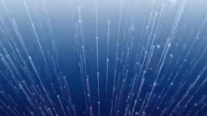 Футажи концертные