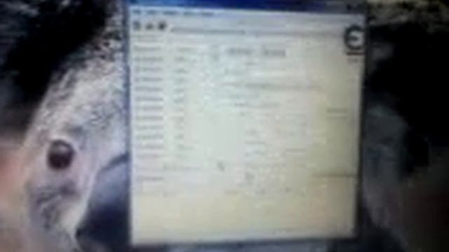 Как правильно пользоваться программай Cheat Engine 6. 2 смотреть онлайн