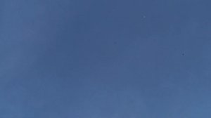 000 НИКОЛАЕВСКИЕ     ГОЛУБИ    ДИМИТРОВ