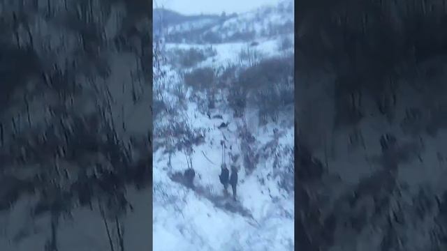 RichnAva смотреть онлайн