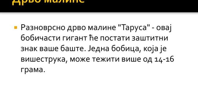 Drvo maline смотреть онлайн