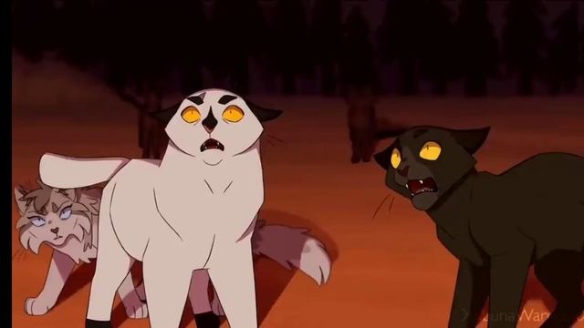 Everything Move Sol Warriors cats MAP коты воители сол мап | BlacK FaLcoN | смотреть онлайн