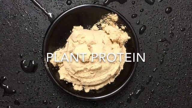 Plant Based Recipes: Hazelnut Protein Bites