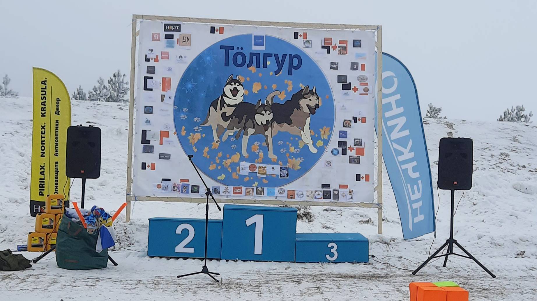 собачьи бега