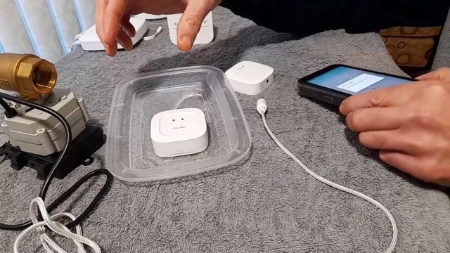 Do you believe Yolink's leak sensor will prevent water damage? смотреть онлайн