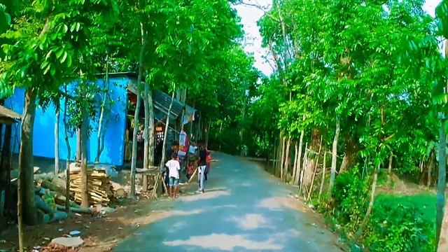 Independence Day🇧🇩।Madaripur Cycling।। Dhaka Bangladesh 2024#bicycle смотреть онлайн