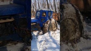 Трактор Т 40 в лесу!