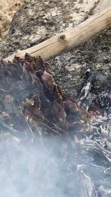 Я БОЛЬШЕ НЕ ВЕРНУСЬ НА ЭТОТ НЕОБИТАЕМЫЙ ОСТРОВ С АКУЛАМИ смотреть онлайн