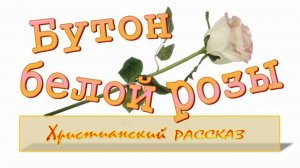 📗 "Бутон белой розы" ~ РАССКАЗ Христианский для ПОДРОСТКОВ👧🟢 АУДИОРАССКАЗ