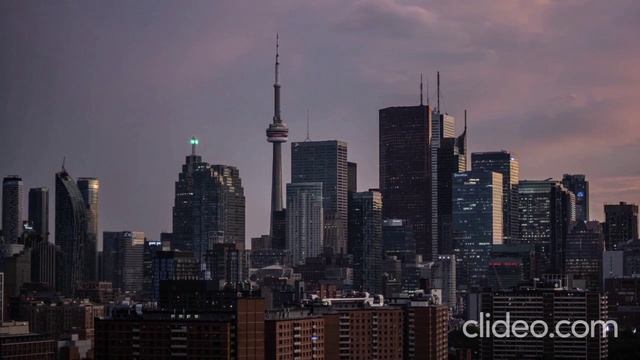 GRANDENIKO VLOG. Женщины какашки и вонючки. Моё мнение. ПРАВДИВАЯ ОЛЬГА.