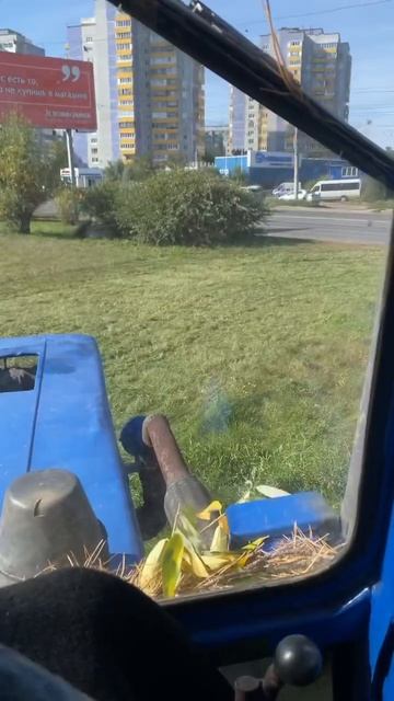 #Сенокос 2023 трактор мтз-80