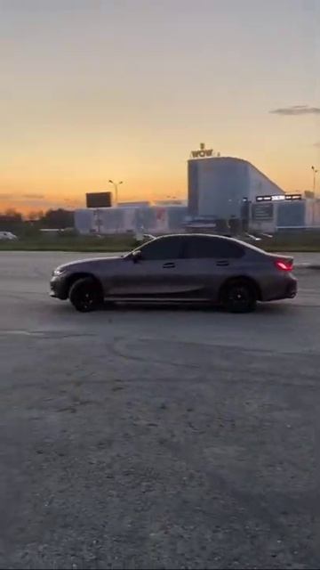 Че за анаконда?