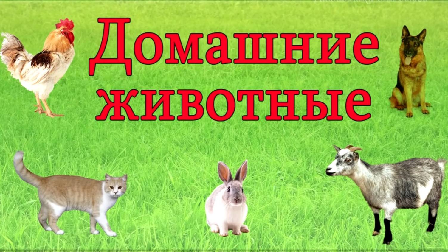 Домашние животные 🐶 Изучаем домашних животных и их голоса. Развивающее видео для детей. смотреть онлайн