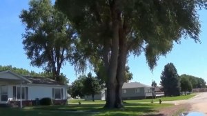 ПОКАЖУ АМЕРИКАНСКУЮ ДЕРЕВНЮ.Простая деревня без прикрас.