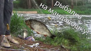 Рыбалка на мандавошку! Не кастинговая сеть!  Сеть дорожка!