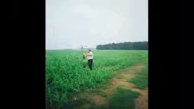 РФ Сорго в Брянской области смотреть онлайн