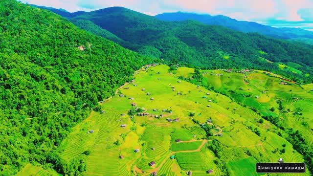 Коран сура Аль-Исраъ видео 4к Миншави -Minshawiy