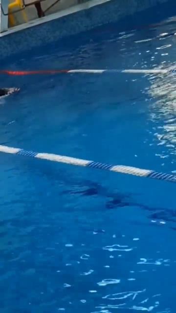 начало тренировок по плаванию. анализ техники. впереди работа над ошибками.