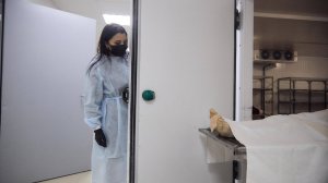 " Вскрытие в морге " Жизненная история.