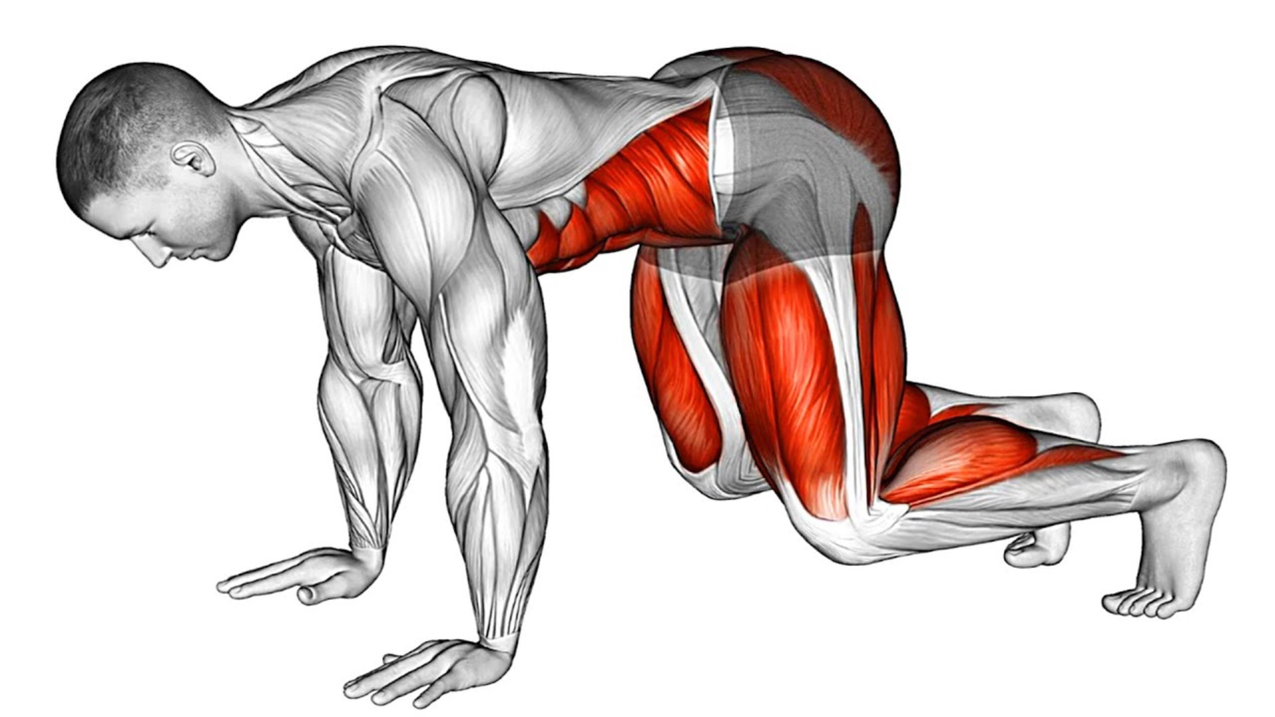 Планка — лучшее упражнение для пресса