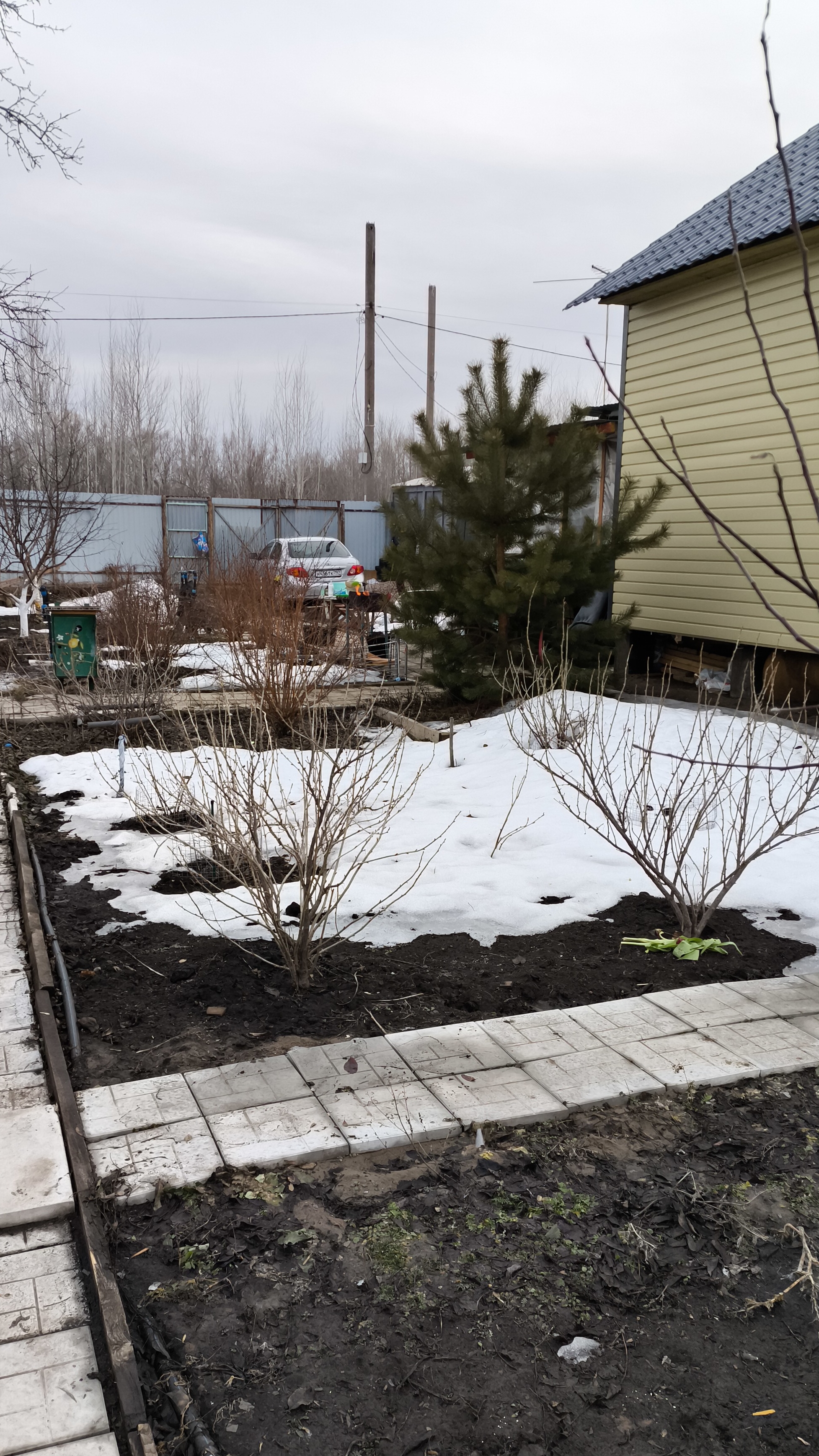 Сосиски и салат на ужин) смотреть онлайн