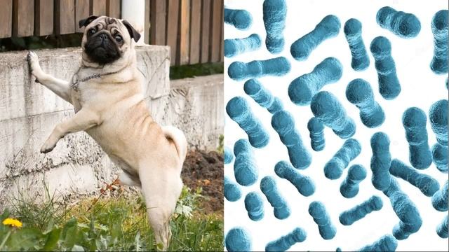 Алина Миллер - Здоровый интерес смотреть онлайн