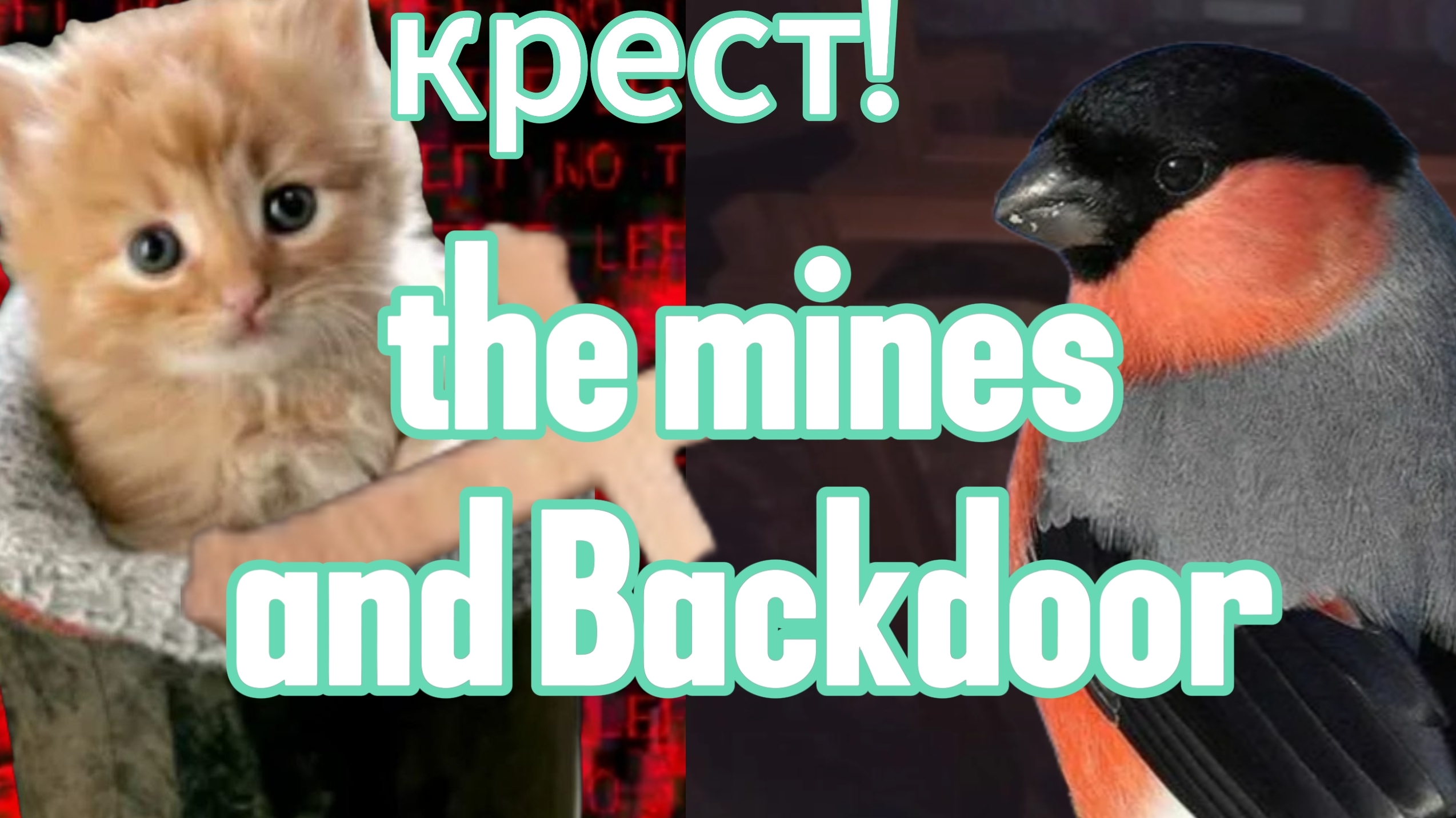 🌈The Mines And Backdoor со Снигирьком!