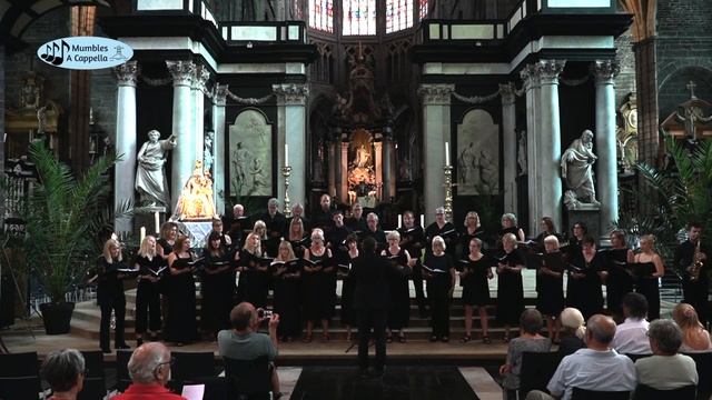 Ave Maria Saint Bavo's Cathedral (Vavilov/Caccini) смотреть онлайн