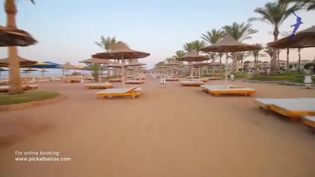 Royal Albatros Moderna 5*, Шарм Эль Шейх, Египет