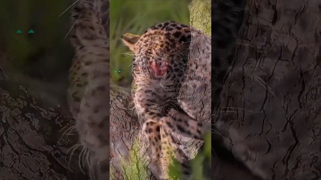 Взаимоподписка смотреть онлайн