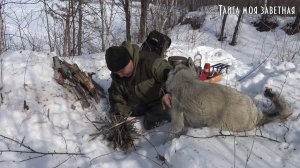 Моя расконкретная фишечка 🧭