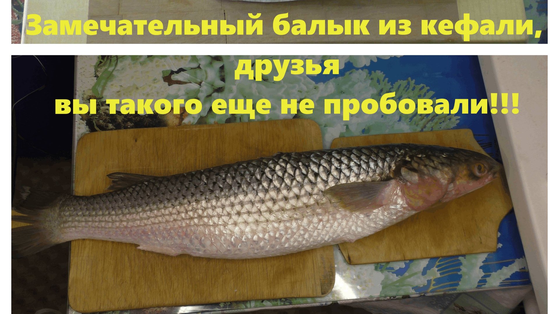 Замечательный балык из кефали, друзья вы такого еще не пробовали!!!