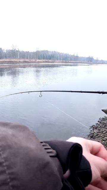 Мекка весеннего спиннинга. Любители отводных в одном месте смотреть онлайн