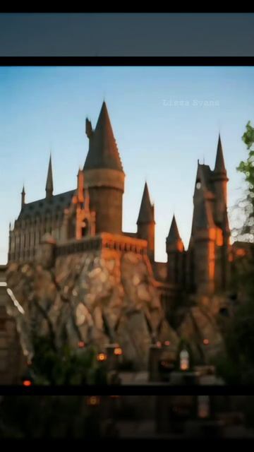 💗#harrypotter #рек #хогвартс #edit #врекомендации #гаррипоттер #goldentrio смотреть онлайн