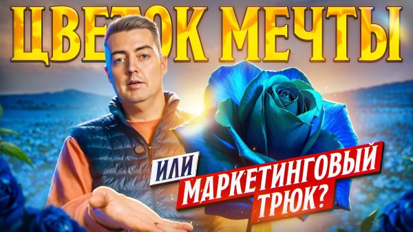 Розы, которых не бывает в природе | Плантация Flower Design