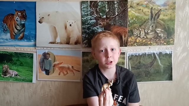 Лисичка фенёк смотреть онлайн