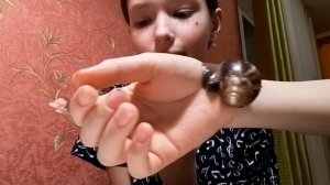 вот какие у нас питомцы