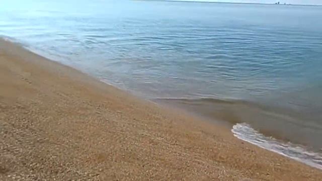 ВЕСЁЛЫЙ ДЕЛЬФИН смотреть онлайн