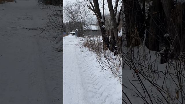 я поеду на гору Тагонай в 2025 года приблизительно в августе