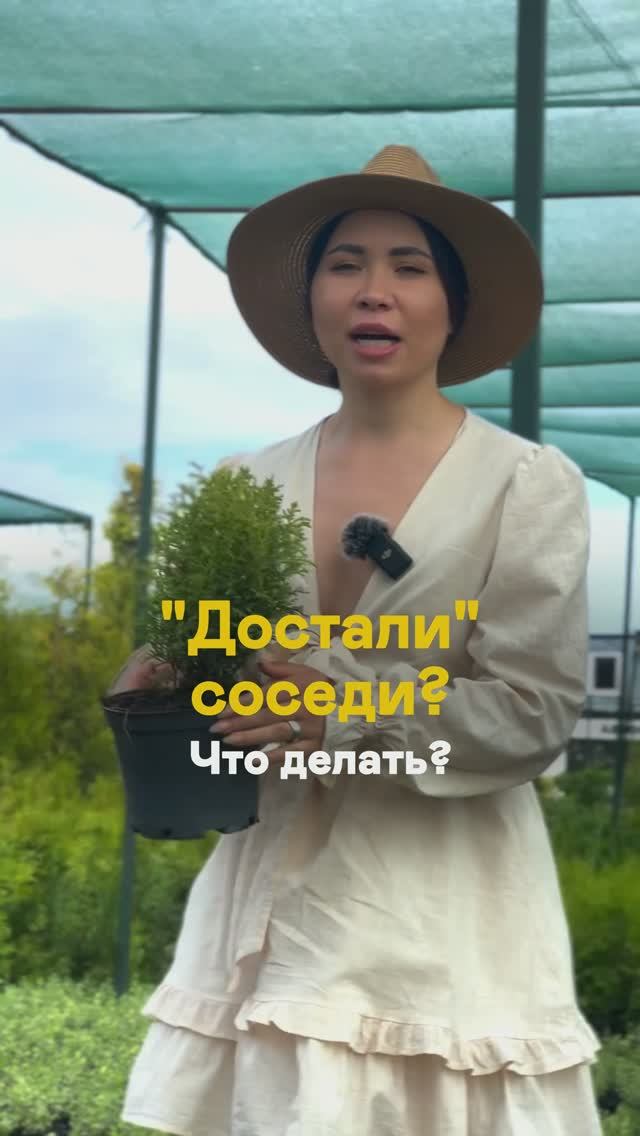 Вас тоже бесит дерево соседа? Сделайте так! смотреть онлайн