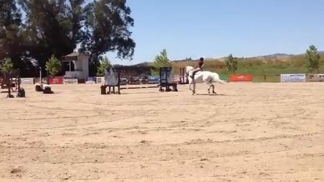 Lolly and Bella смотреть онлайн