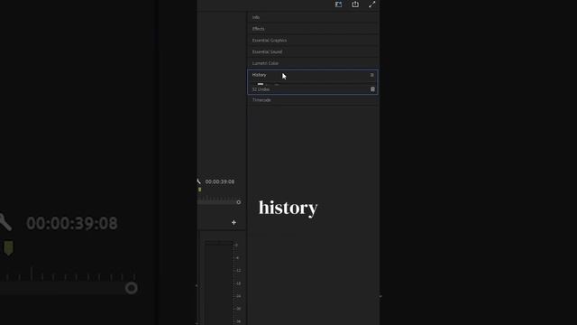 Rearrange Panels in Premiere Pro for Any Aspect Ratio! #adobepremierepro #videoediting #editingtips смотреть онлайн
