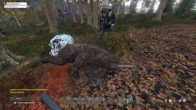 ЧТО БУДЕТ ЕСЛИ ПОЙТИ НА МЕДВЕДЯ С МАЧЕТЕ ► DayZ ► Fearless СЕРВЕР №3 смотреть онлайн