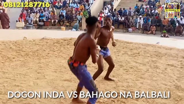 Damben Katsina Nayau 13/11/2023 Kanan A Tunga Yayi Kisa Dan Bichi Da Bahogo Na Balbali Dogon Messi